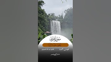 القارئ عبد الله العمودي سورة مريم #القرآن_الكريم