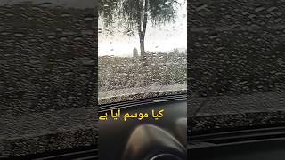 Heavy Rain in Islamabad #islamabad #rainyroad #rain #travel #nature #climatechange #park