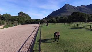 Equestrian Smallholding For Sale In Noordhoek