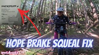 Hope Tech 4 Brakes Squealing? Watch This Before You Replace Them
