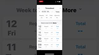Reviewing your timesheet screenshot 3