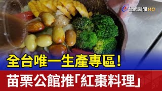 全台唯一生產專區！ 苗栗公館推「紅棗料理」