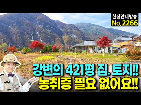 (강추) 천혜의 강변 421평 토지와 집 농취증 필요 없어요 전원주택 시골집 매매 햇살 좋은 정남향 넓은 주차공간 다양한 용도 및 토지 활용 가능 영월부동산 - 발품부동산TV