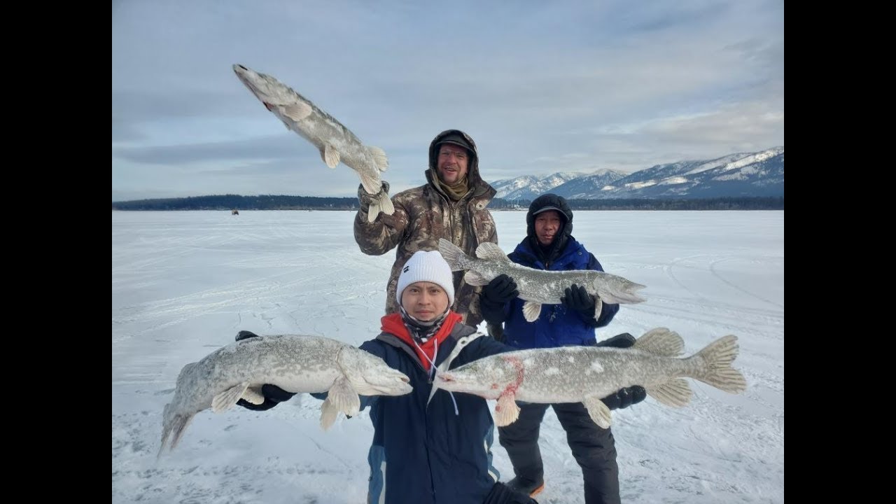 Ice fishing at Flathead Lake for Pike while ice skating YouTube