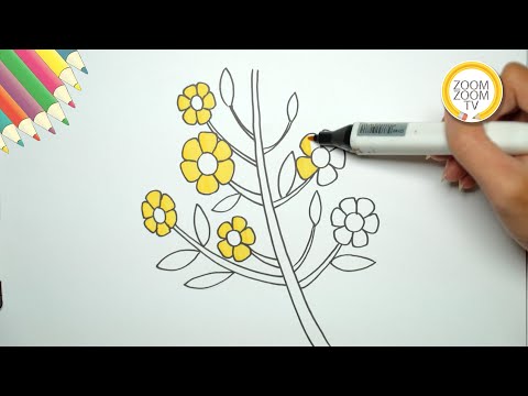 Tranh Tô Màu Cành Hoa Mai - Hướng dẫn cách vẽ HOA MAI, CÀNH HOA MAI - How to draw Ochna integerrima | Zoom Zoom TV
