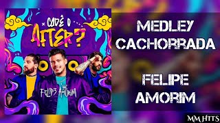 MEDLEY CACHORRADA - Felipe Amorim (Áudio Oficial)