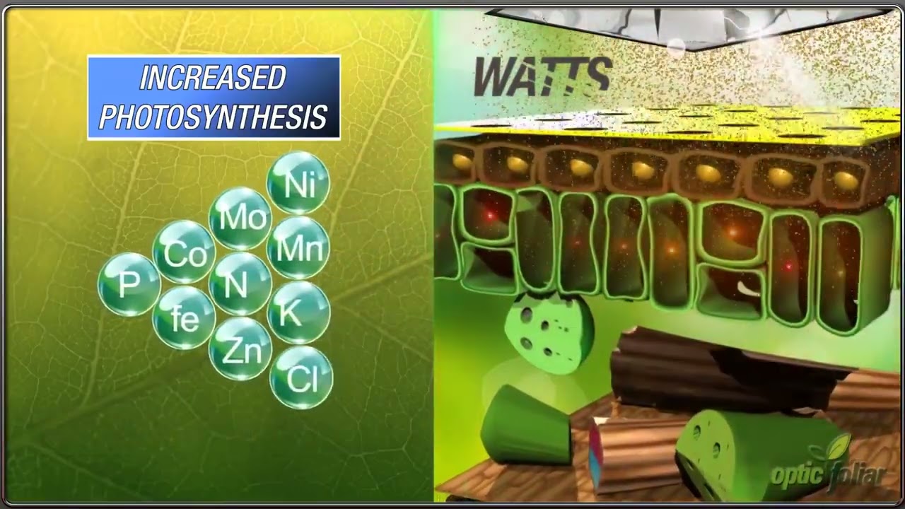 Optic Foliar Watts & Rev