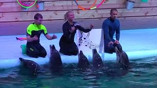 Дельфинарий в городе курорте Трускавец,новая программа 2016 год/ Dolphinarium in Truskavets