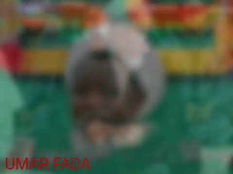 ABBIN MAMAKE NEW FRESTLY UMAR FADA MAULALAMUN ZAKZAKY