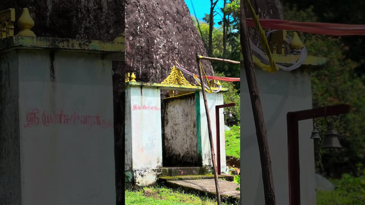 Silent valley Munnar | Hidden gem in munnar 