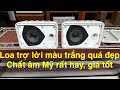 Loa BOSE 101MMW, phiên bảng màu trắng rất đẹp, dòng Bose Mỹ, trợ lời hay tuyệt, giá tốt lắm