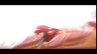▲INTRO#42▼ Zerutle ➳ BreezeHD (BEST!)
