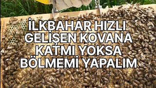 İlkbaharda Hızlı Gelişen Kovanlardan Bölme Mi? Alalım Kat Mı? Koyalım