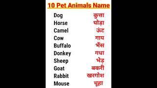 Learn 10 Pet Animal Name Hindi And English #shorts #animals