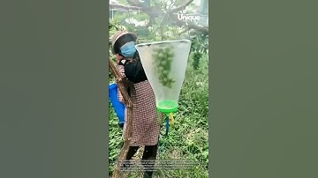 Automated grape cleaning: a new approach to vineyard work