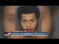 Deputies foil car break-in in progress, make arrest