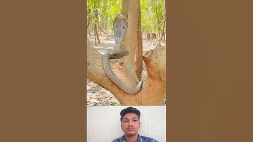 mahadev status mahakal status bholenath status #status #shivshiv #mahadev
