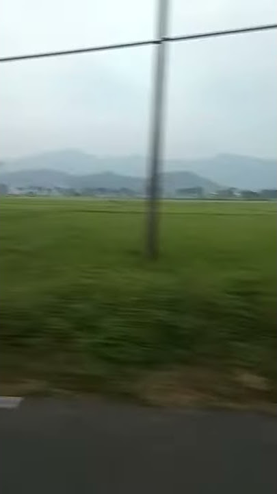 #ngamen11 plasa (plataran sawah)