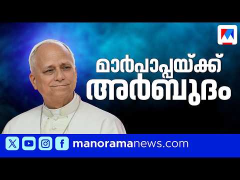 Pope Leo XIV diagnosed with lung cancer; surgery completed | Pope Leo XIV