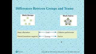 ORGANIZATIONAL BEHAVIOUR - UNDERSTANDING WORK TEAMS (CHAPTER 10)