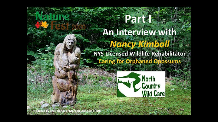 NYS Wildlife Rehabilitator, Nancy Kimball - Orphan...