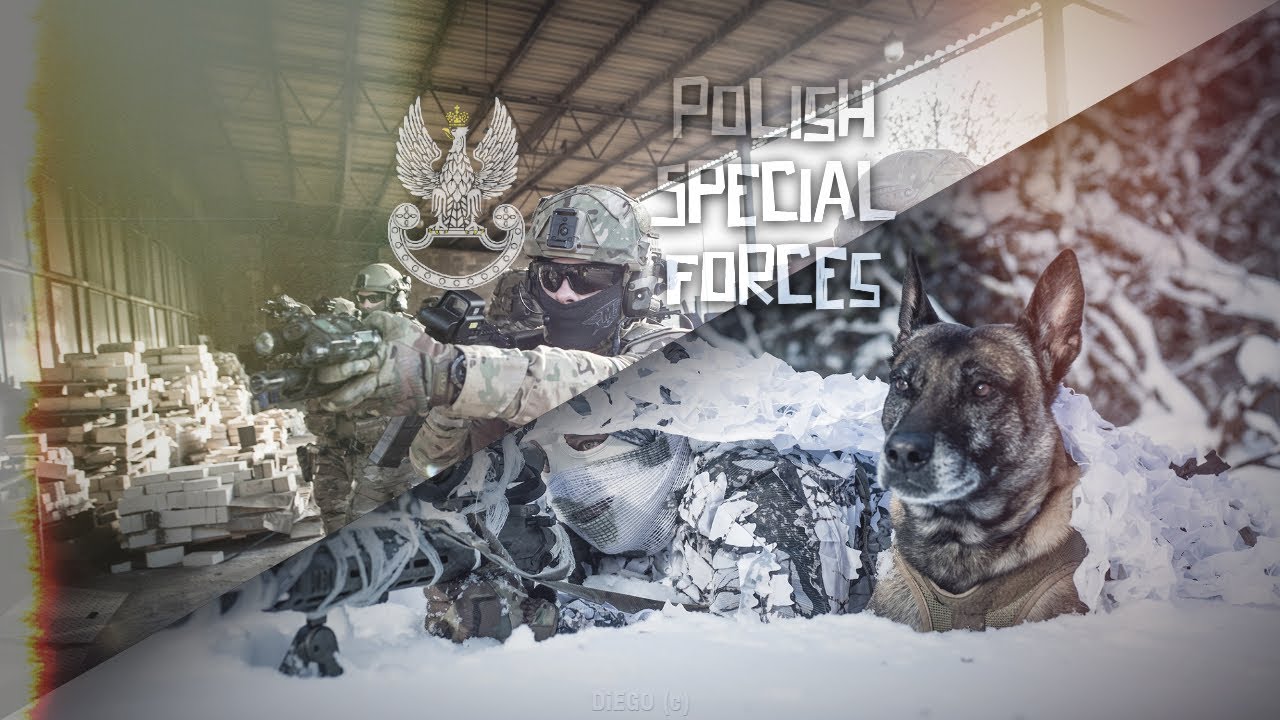 Wojska Specjalne / Polish Special Forces - Mirrors