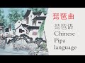   chinese pipa language