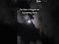 The Moon #shorts #moon #facts