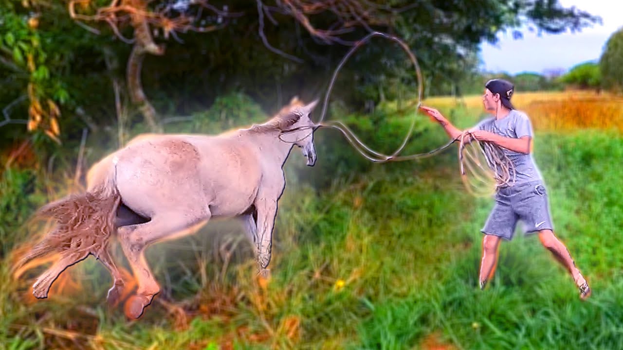 CONSEGUIMOS PEGAR O CAVALO FUGITIVO DO MEU AMIGO PRA IR NA CAVALGADA * Depois de dois dias *