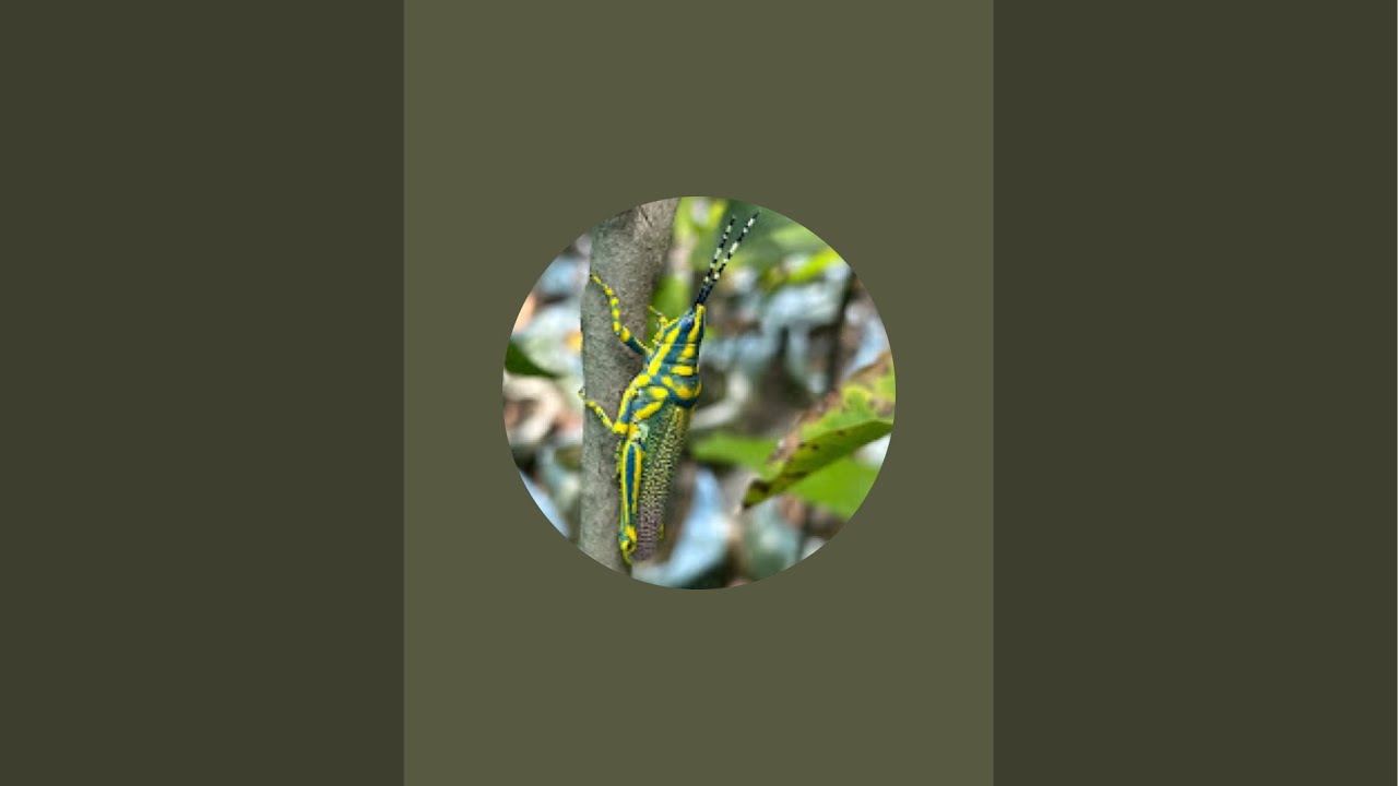 Sunday gardening 🧑‍🌾