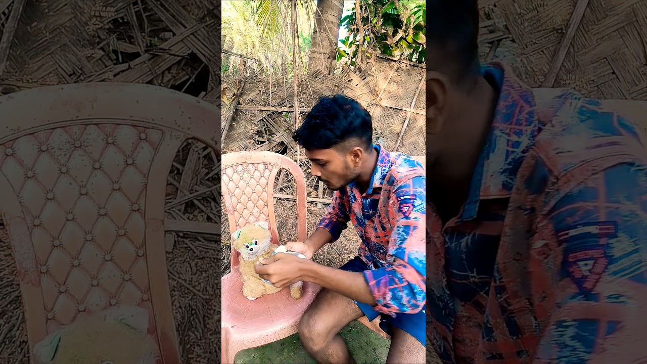 Embrace the joys of raising a dog in rural life.Eat #4 BZ42