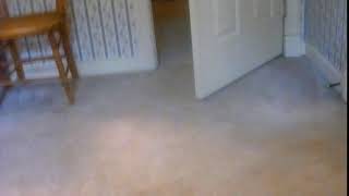 HE COMES