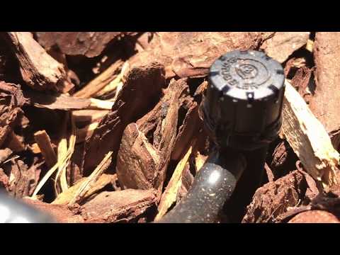 How to Stop a Siphon from Completely Draining Water Reservoir - Automatic Watering System for Plants