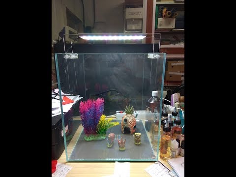 Aquarium setup challenge for aquariumtubers 2018 | See description for voting | final photo video