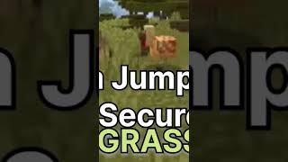 Minecraft!But I can't Touch th Green Colour Grass!#minecraft #challenge