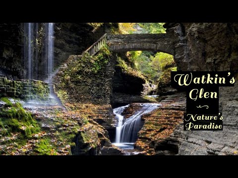 Video: Công viên bang Watkins Glen: Hướng dẫn đầy đủ