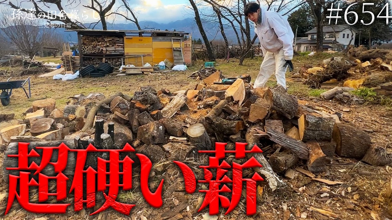 訳あり丸太約１㎥　最強クラスの節有りのため薪割り困難 薪割り]小径の丸太をタイヤで一気に割る！斧で割りマッスル - YouTube