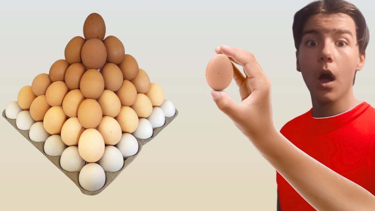 Satisfying Videos That Will Calm Your Mind Instantly