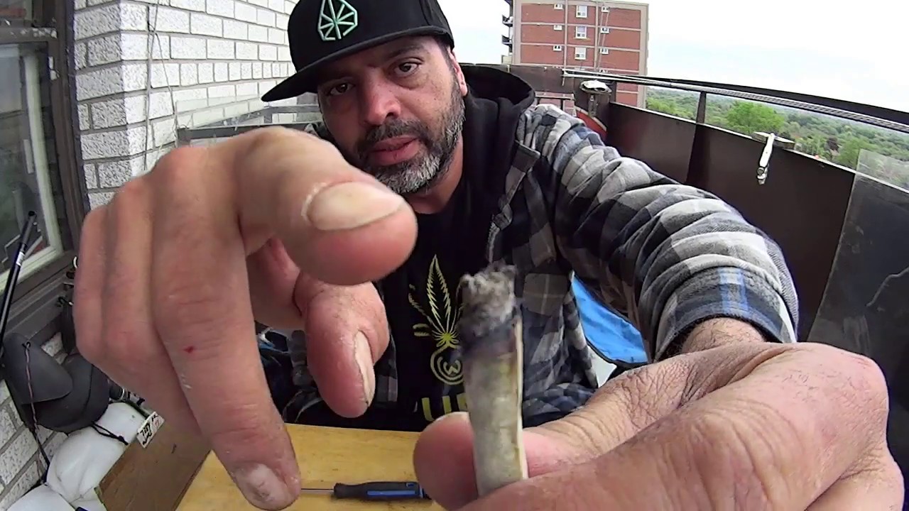 Marajuana Review - REDECAN - God Bud. Medical side