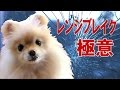 レンジブレイクの極意、一日20ピプスをサクっと捕る方法。