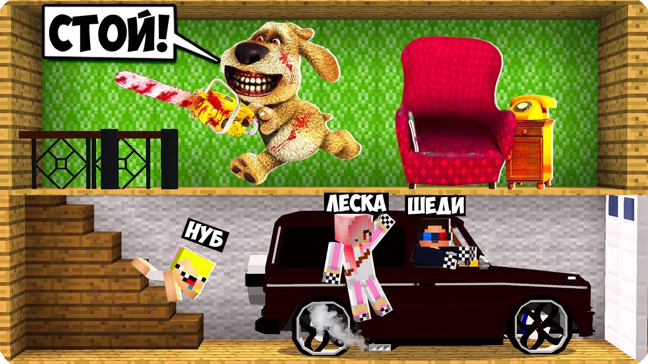 Шеди собака