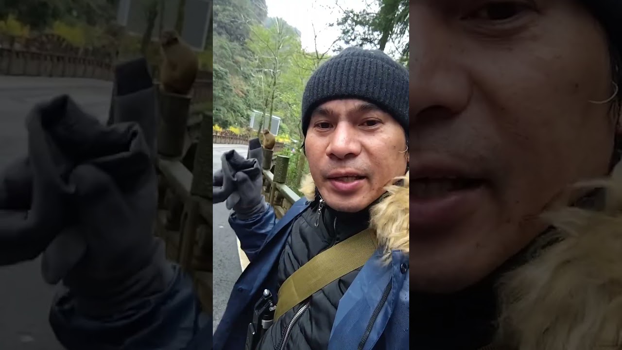 Ang daming monkey na gumagala Amazing china