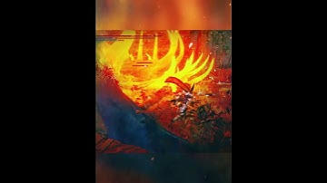 Randomizer & Malenia