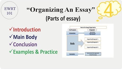 How to organize an essay| Organizing an essay| Parts of an essay in Urdu & Hindi|#essaywriting