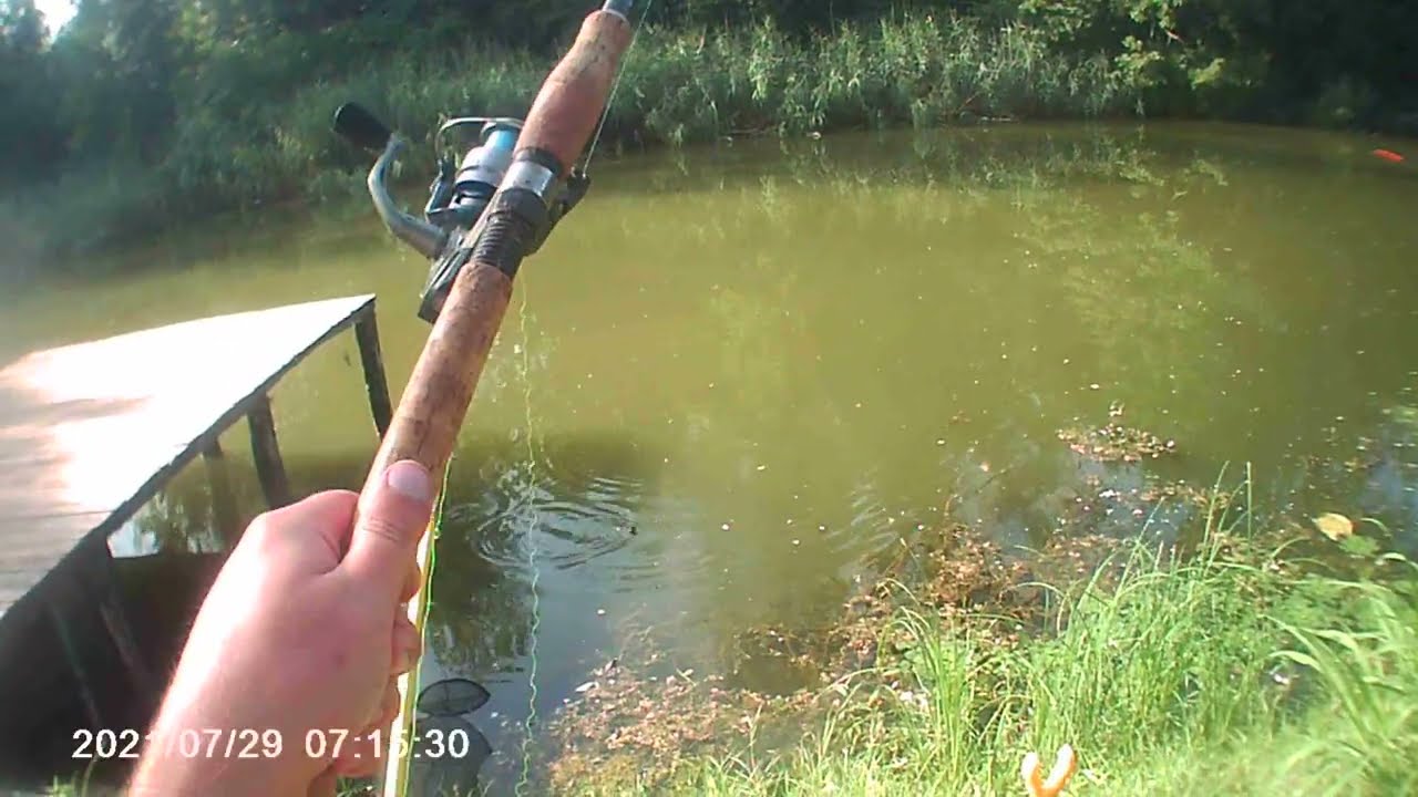 Veliki Backi Kanal Baracka pecanje na fider babuska i deverika