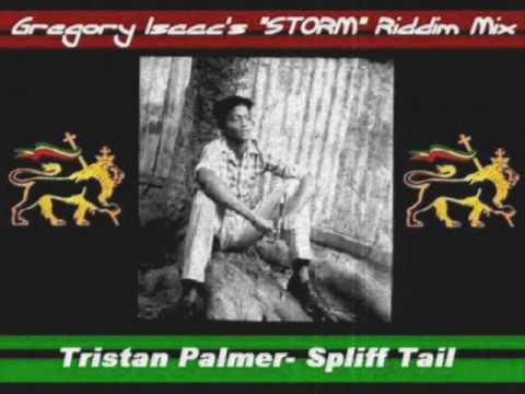 Storm Riddim Mix