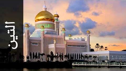 سورة التين زكي داغستاني - Surah At-Tin Zaki Daghistani