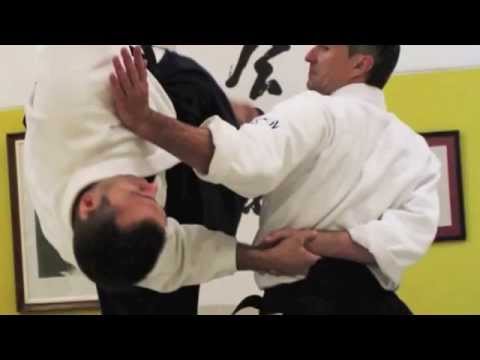 Best of 2014 Michel Erb Sensei Part 1