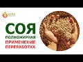 Соя полножирная, применение в животноводстве. Особенности переработки