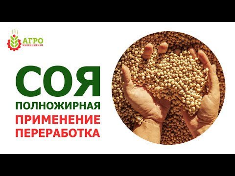 Video: Соя эти деген эмне?